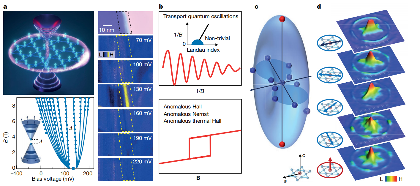 图3 拓扑笼目磁体.png